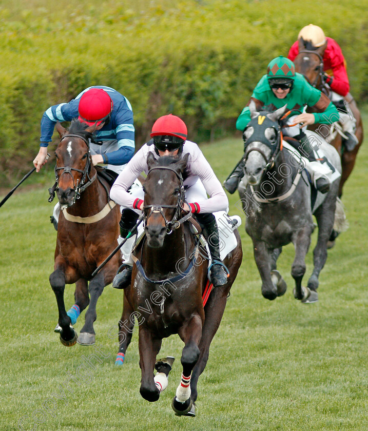 Iranistan-0006 
 IRANISTAN (centre, Darren Nagle) beats GIBRALFARO (left) in The Marcellus Frost Champion Hurdle Percy Warner Park, Nashville 12 May 2018 - Pic Steven Cargill / Racingfotos.com