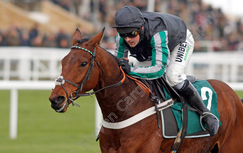 Pym-0006 
 PYM (Nico de Boinville) wins The International Decorative Surfaces Novices Chase
Cheltenham 13 Dec 2019 - Pic Steven Cargill / Racingfotos.com