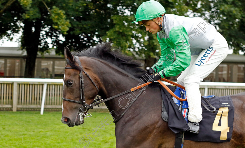 Out-Of-Shadows-0005 
 OUT OF SHADOWS (Benoit de la Sayette) winner of The Ian Angry Anderson 50th Birthday Celebration Handicap
Newmarket 5 Aug 2023 - Pic Steven Cargill / Racingfotos.com