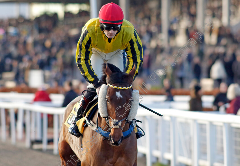 Lavender-Hill-Mob-0001 
 LAVENDER HILL MOB (Sam Twiston-Davies)
Cheltenham 14 Dec 2024 - Pic Steven Cargill / Racingfotos.com