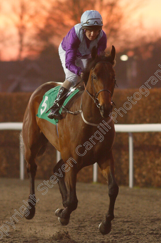 No-Nonsense-0002 
 NO NONSENSE (Liam Keniry) winner of The 32Red Conditions Stakes
Kempton 4 Jan 2019 - Pic Steven Cargill / Racingfotos.com