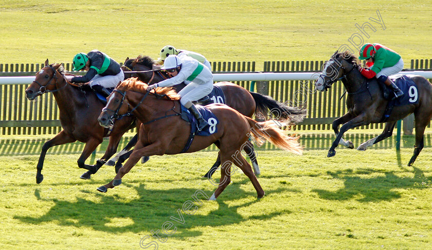 Face-The-Facts-0002 
 FACE THE FACTS (nearside, Ted Durcan) beats NEARLY CAUGHT (farside) and JUKEBOX JURY (right) in The Jockey Club Rose Bowl Stakes Newmarket 28 Sep 2017 - Pic Steven Cargill / Racingfotos.com