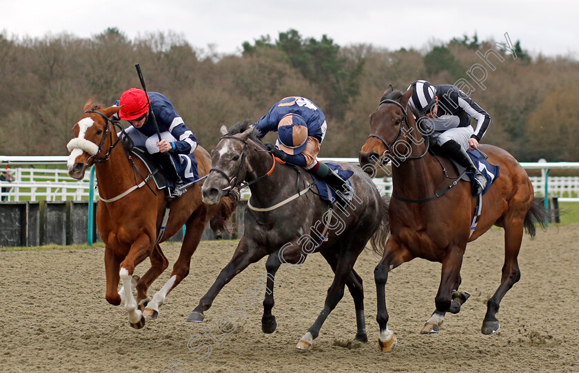 Crystal-Casque-0002 
 CRYSTAL CASQUE (left, Jack Gilligan) beats DAYZEE (centre) and TWIRLING (right) in The BetMGM Irish EBF Fillies Handicap
Lingfield 23 Dec 2023 - Pic Steven Cargill / Racingfotos.com