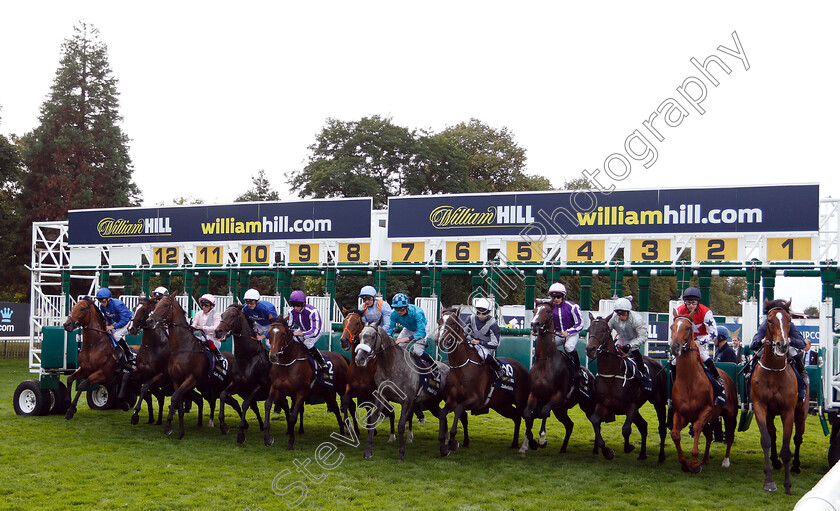 Kew-Gardens-0002 
 KEW GARDENS (purple cap, Ryan Moore) breaks from the stalls with the field for The William Hill St Leger
Doncaster 15 Sep 2018 - Pic Steven Cargill / Racingfotos.com