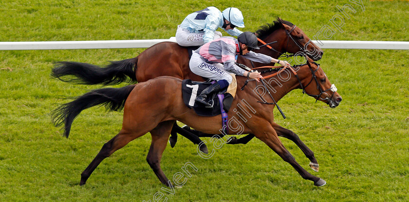 Reina-Del-Mar-0004 
 REINA DEL MAR (farside, Oisin Murphy) beats SCAMPI (nearside) in The Read Ryan Moore On Betting.Betfair Handicap 
Newbury 10 Jun 2021 - Pic Steven Cargill / Racingfotos.com