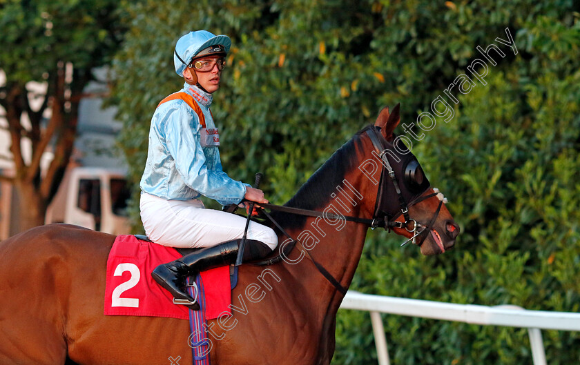 Prince-Of-Zenda-0001 
 PRINCE OF ZENDA (James Doyle)
Sandown 25 May 2023 - Pic Steven Cargill / Racingfotos.com