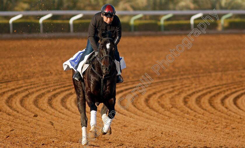 Aguri-0001 
 AGURI training for The 1351 Turf Sprint 
King Abdulaziz Racecourse, Saudi Arabia 20 Feb 2024 - Pic Steven Cargill / Racingfotos.com