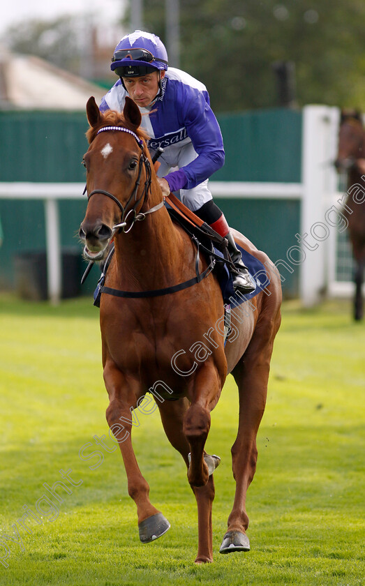 Inappropriate-0002 
 INAPPROPRIATE (Shane Kelly)
Yarmouth 16 Oct 2023 - Pic Steven Cargill / Racingfotos.com