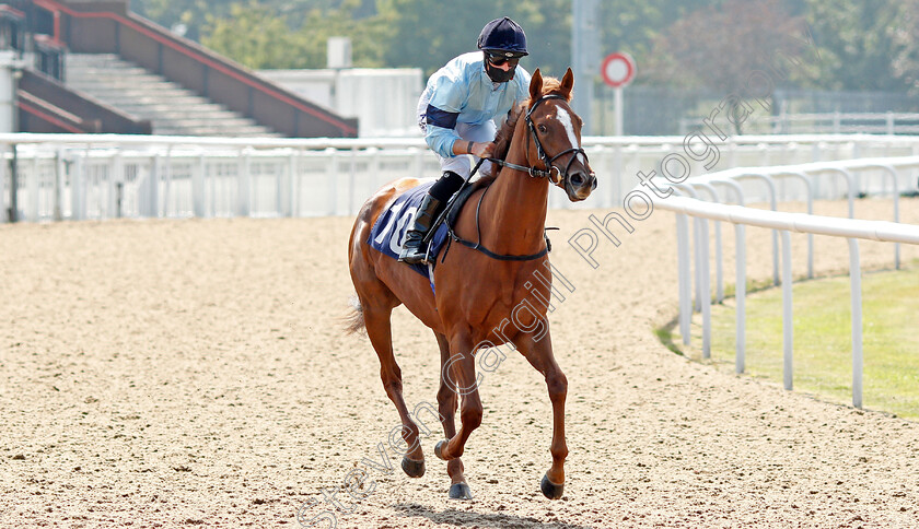 Operatic-0006 
 OPERATIC (Jack Mitchell) 
Wolverhampton 11 Aug 2020 - Pic Steven Cargill / Racingfotos.com