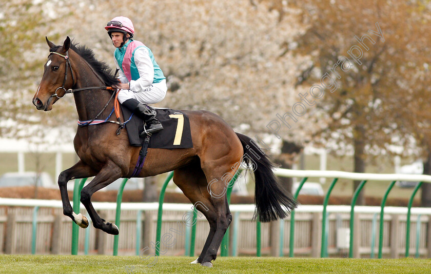 Stagehand-0001 
 STAGEHAND (Ryan Moore)
Newmarket 16 Apr 2019 - Pic Steven Cargill / Racingfotos.com