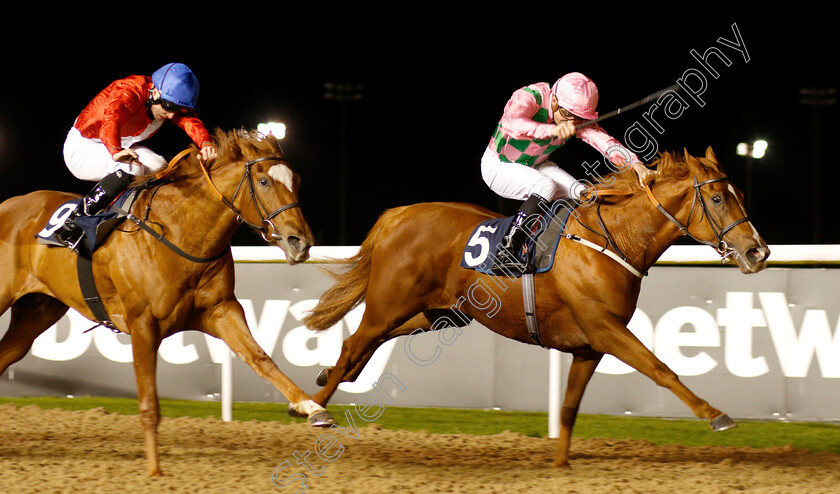 Engrossed-0003 
 ENGROSSED (Rob Hornby) wins The Ladbrokes Home Of The Odds Boost Fillies Novice Stakes Div2
Wolverhampton 10 Dec 2018 - Pic Steven Cargill / Racingfotos.com