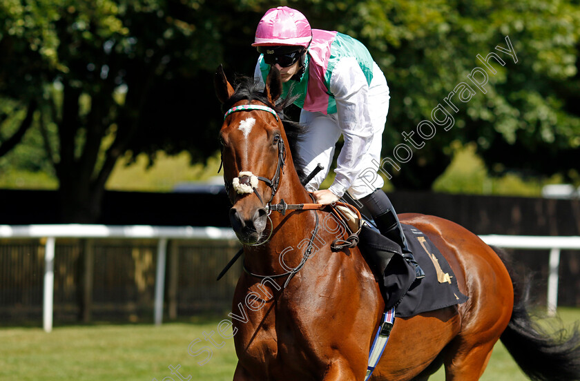 Nostrum-0002 
 NOSTRUM (Richard Kingscote)
Newmarket 29 Jun 2024 - Pic Steven Cargill / Racingfotos.com