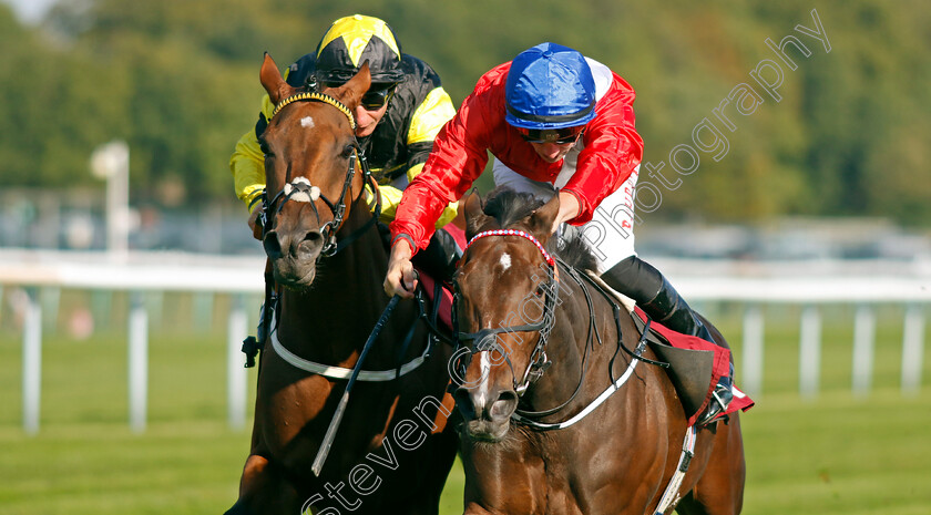 Persist-0002 
 PERSIST (right, Tom Marquand) beats ANGELS LANDING (left) in The British EBF Reprocolor Premier Fillies Handicap
Haydock 1 Sep 2022 - Pic Steven Cargill / Racingfotos.com