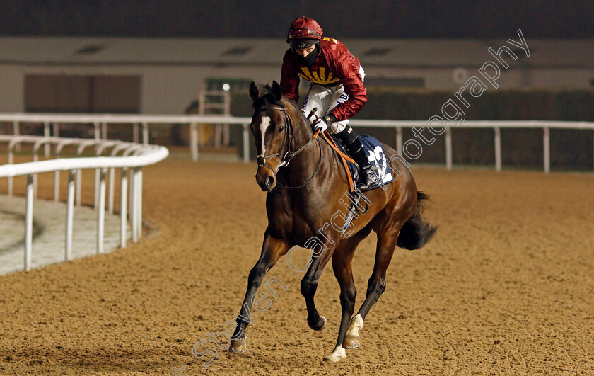 The-Thunderer-0001 
 THE THUNDERER (Luke Morris)
Wolverhampton 7 Jan 2021 - Pic Steven Cargill / Racingfotos.com