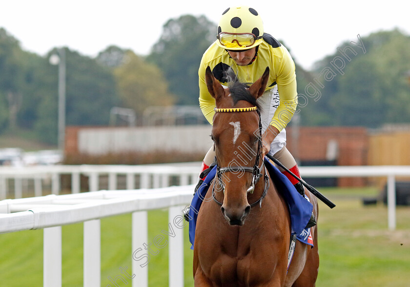 Glenlaurel-0002 
 GLENLAUREL (Andrea Atzeni)
York 18 Aug 2022 - Pic Steven Cargill / Racingfotos.com