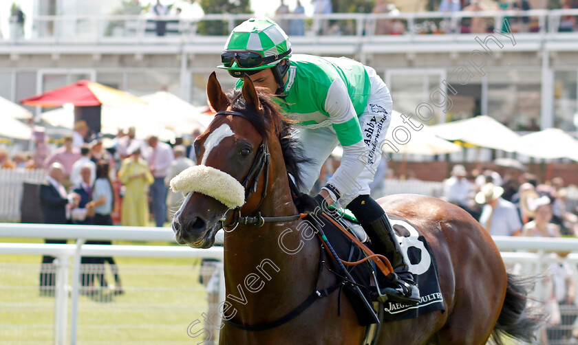 Mr-Lightside-0001 
 MR LIGHTSIDE (Rossa Ryan)
Goodwood 31 Jul 2024 - Pic Steven Cargill / Racingfotos.com