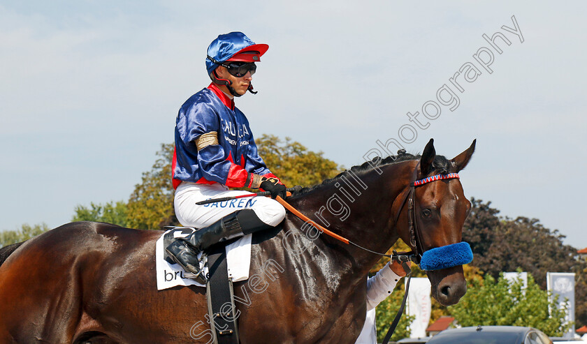 Penalty-0010 
 PENALTY (Thore Hammer-Hansen) winner of The 91. Brunner-Oettingen Rennen
Baden Baden 1 Sep 2024 - Pic Steven Cargill / Racingfotos.com