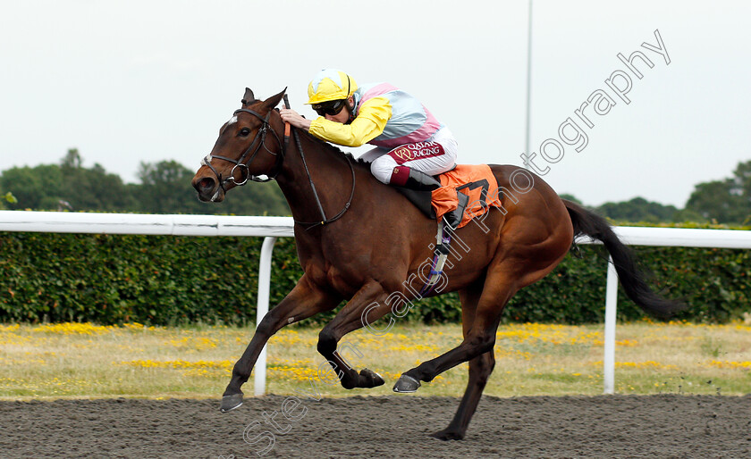 Shadn-0002 
 SHADN (Oisin Murphy) wins The Wise Betting At racingtv.com Maiden Fillies Stakes
Kempton 5 Jun 2019 - Pic Steven Cargill / Racingfotos.com