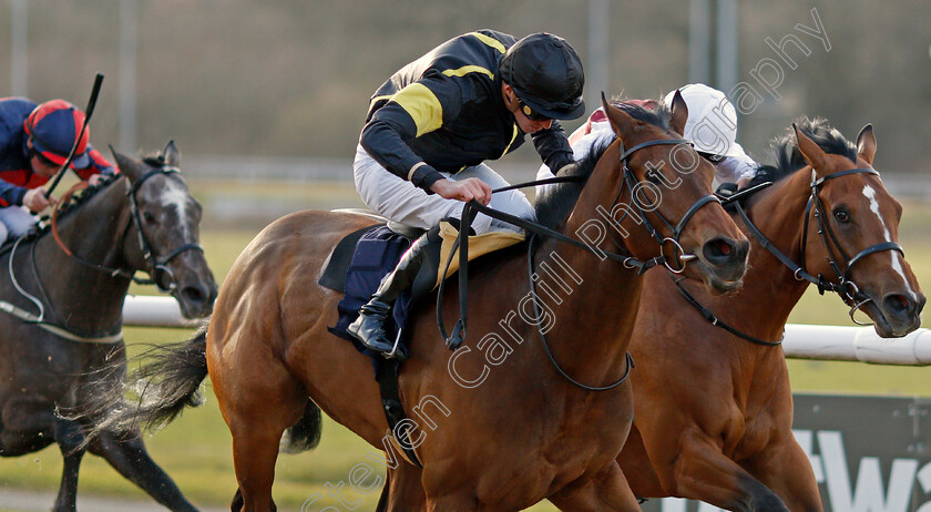 Meng-Tian-0004 
 MENG TIAN (James Doyle) wins The Coral Proud To Support British Racing Handicap
Wolverhampton 12 Mar 2022 - Pic Steven Cargill / Racingfotos.com