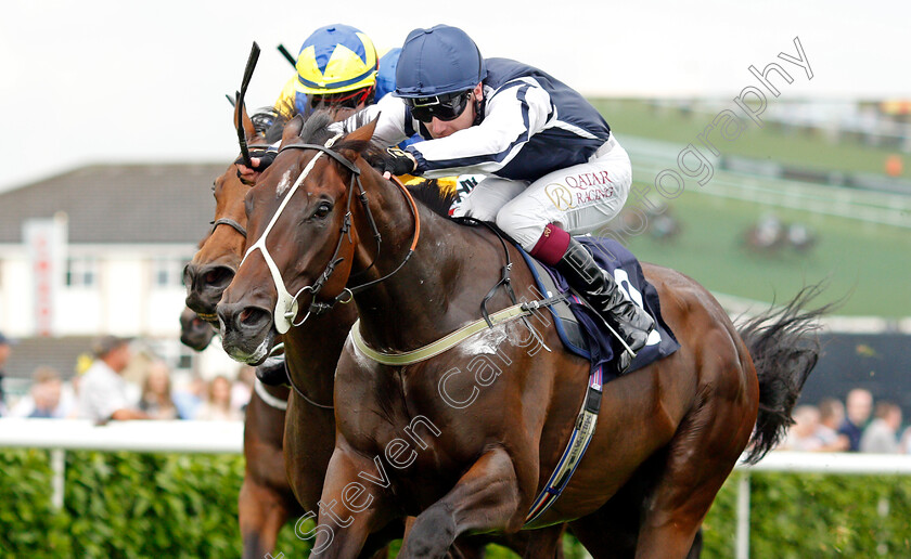 Able-Kane-0003 
 ABLE KANE (Oisin Murphy) wins The Cazoo Handicap
Doncaster 10 Sep 2021 - Pic Steven Cargill / Racingfotos.com