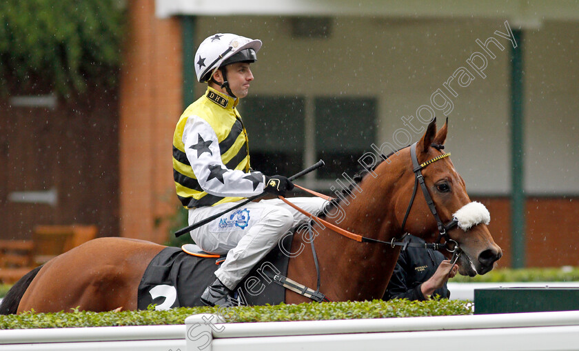 Dakota-Gold 
 DAKOTA GOLD (Connor Beasley)
Ascot 2 Oct 2021 - Pic Steven Cargill / Racingfotos.com