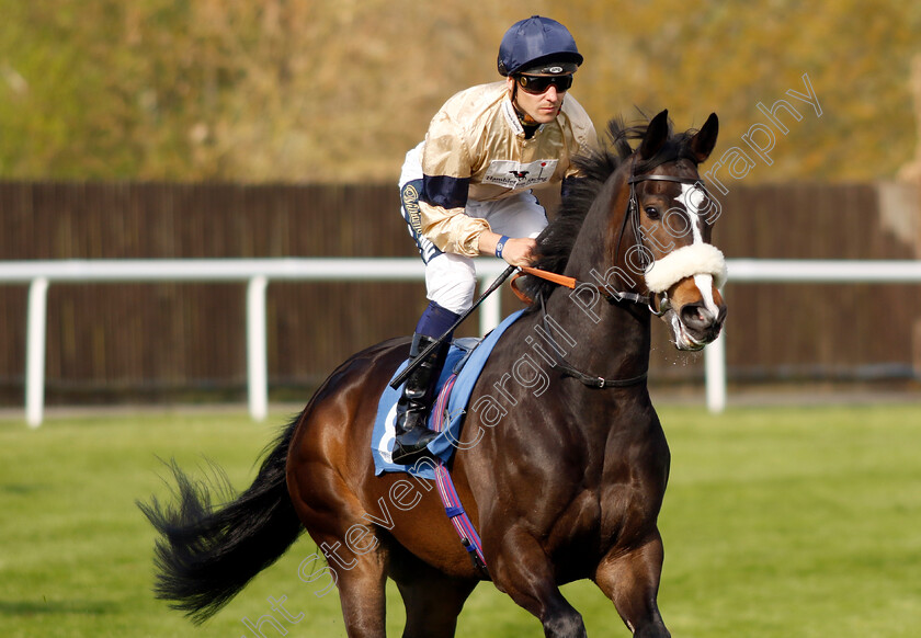 Shaladar 
 SHALADAR (Kevin Stott)
Leicester 23 Apr 2022 - Pic Steven Cargill / Racingfotos.com