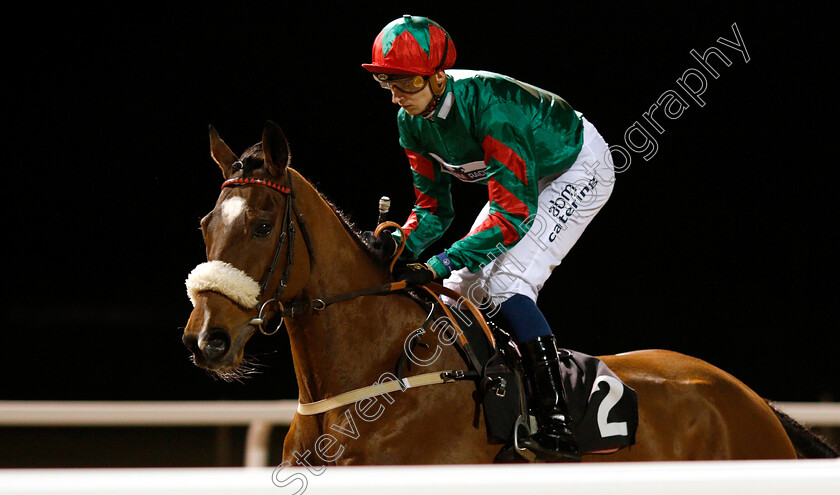 Busy-Street-0001 
 BUSY STREET (Alistair Rawlinson)
Chelmsford 20 Feb 2019 - Pic Steven Cargill / Racingfotos.com