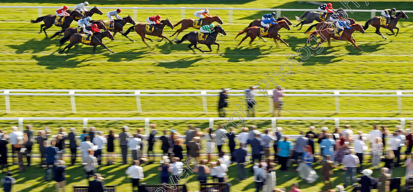 Brorocco-0004 
 BROROCCO (David Probert) wins The Dubai Duty Free Handicap Newbury 23 Sep 2017 - Pic Steven Cargill / Racingfotos.com