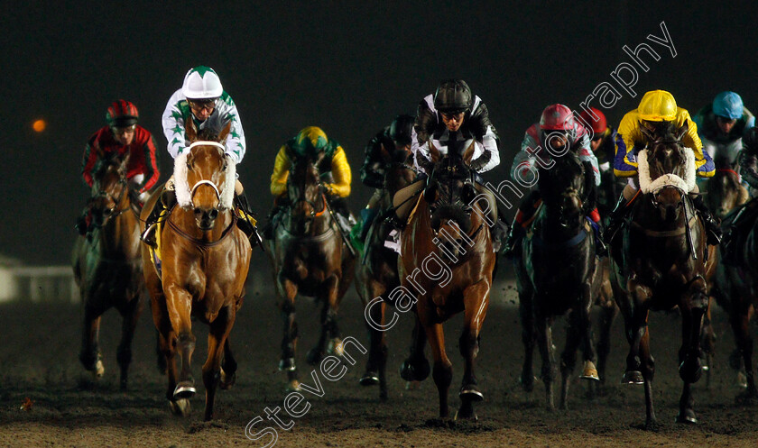 Busby-0002 
 BUSBY (left, Martin Dwyer) beats FULL INTENTION (right) and STRAWBERRY JACK (centre) in The 32Red On The App Store Handicap
Kempton 27 Nov 2019 - Pic Steven Cargill / Racingfotos.com