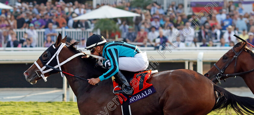 Nobals-0002 
 NOBALS (Gerardo Corrales) wins The Breeders' Cup Turf Sprint
Santa Anita 4 Nov 2023 - pic Steven Cargill / Racingfotos.com