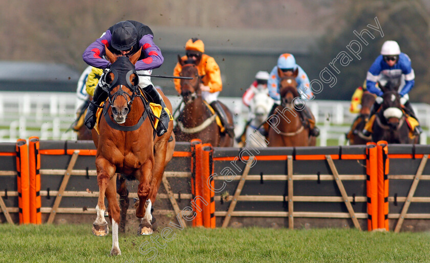 Shannon-Bridge-0003 
 SHANNON BRIDGE (Harry Skelton) wins The Betfair Cheltenham Free Bet Pot Builder Handicap Hurdle
Ascot 20 Feb 2021 - Pic Steven Cargill / Racingfotos.com