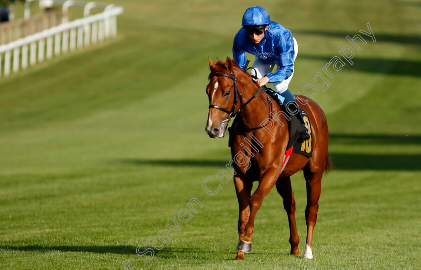 Watching-Stars-0001 
 WATCHING STARS (William Buick)
Newmarket 9 Aug 2024 - Pic Steven Cargill / Racingfotos.com