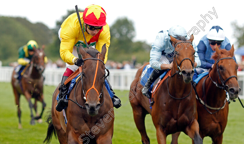 Undertheboardwalk-0007 
 UNDERTHEBOARDWALK (Oisin Murphy) wins The Sorvio Insurance Brokers Novice Stakes Div2
Salisbury 12 Aug 2021 - Pic Steven Cargill / Racingfotos.com