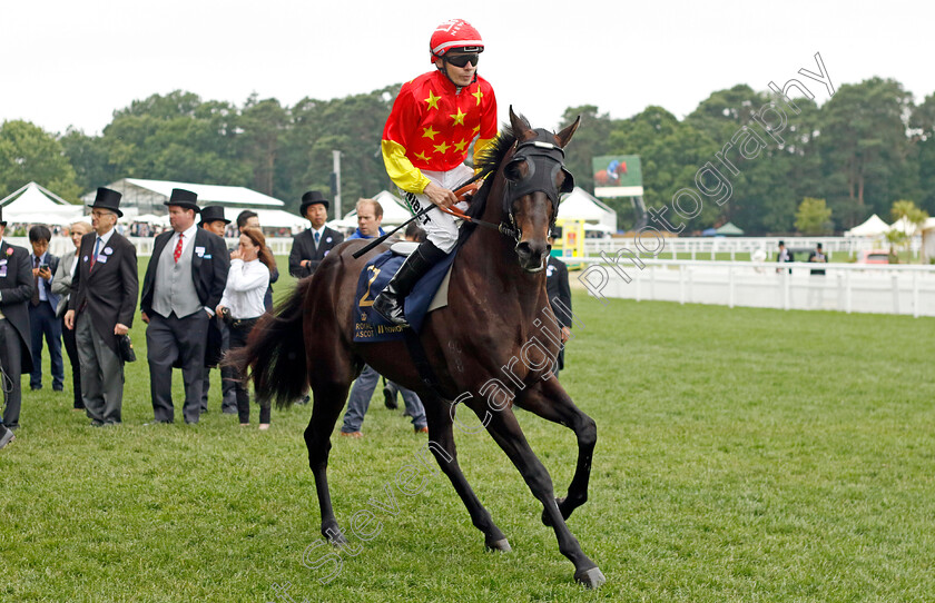 Artorius-0001 
 ARTORIUS (Jamie Spencer)
Royal Ascot 18 Jun 2022 - Pic Steven Cargill / Racingfotos.com