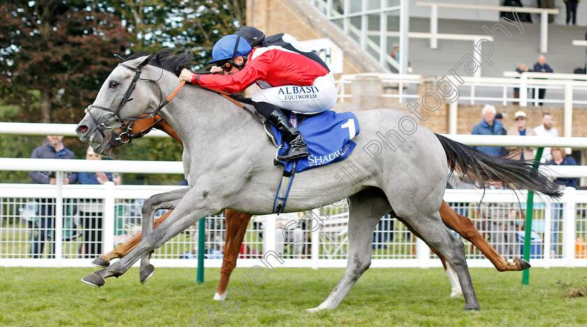 Dark-Lady-0006 
 DARK LADY (Pat Dobbs) wins The Shadwell Dick Poole Stakes
Salisbury 5 Sep 2019 - Pic Steven Cargill / Racingfotos.com