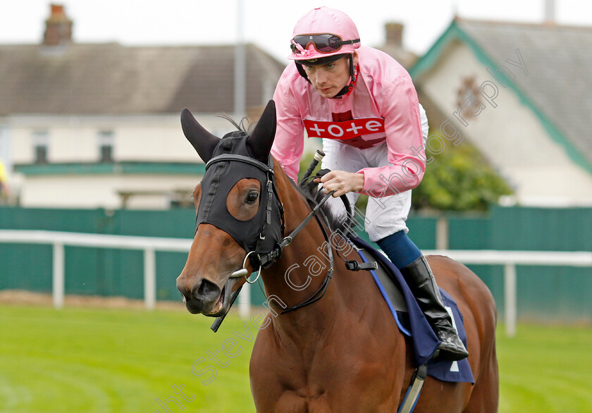 Aussie-Star-0001 
 AUSSIE STAR (Callum Shepherd)
Yarmouth 21 Sep 2023 - Pic Steven Cargill / Racingfotos.com