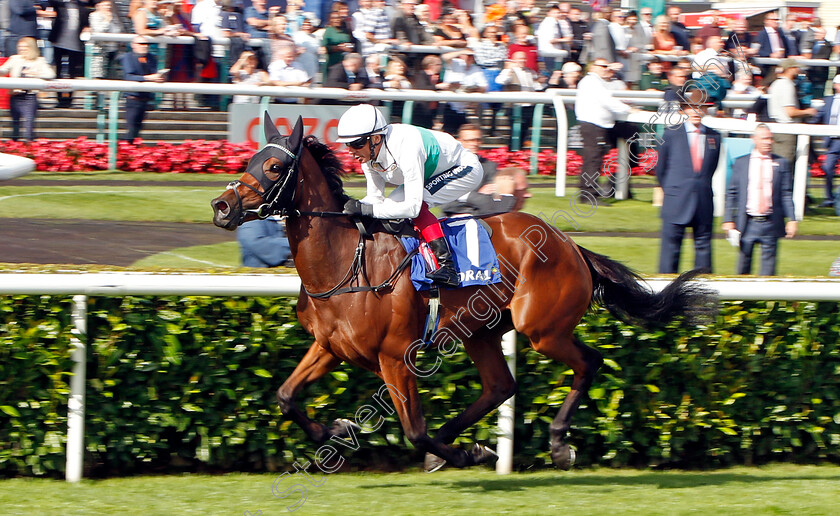 Mimikyu-0005 
 MIMIKYU (Frankie Dettori) wins The Coral Park Hill Stakes
Doncaster 8 Sep 2022 - Pic Steven Cargill / Racingfotos.com