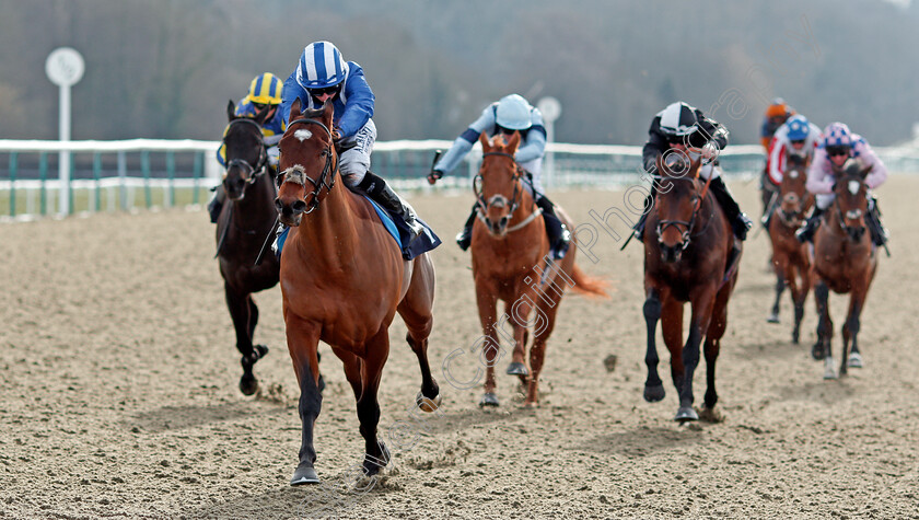 Ahdab-0005 
 AHDAB (Ryan Moore) wins The Bombardier March To Your Own Drum Novice Stakes
Lingfield 13 Feb 2021 - Pic Steven Cargill / Racingfotos.com