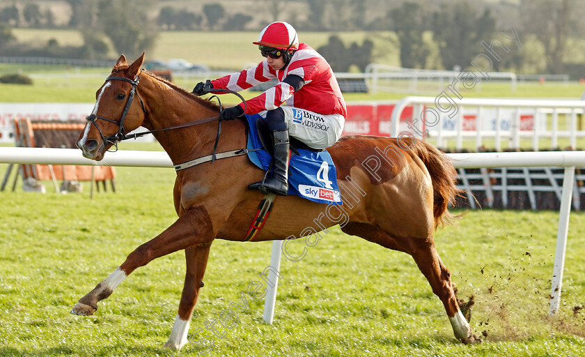 Lecky-Watson-0007 
 LECKY WATSON (Paul Townend) wins The Sky Bet Novices Chase
Punchestown 12 Jan 2025 - Pic Steven Cargill / Racingfotos.com