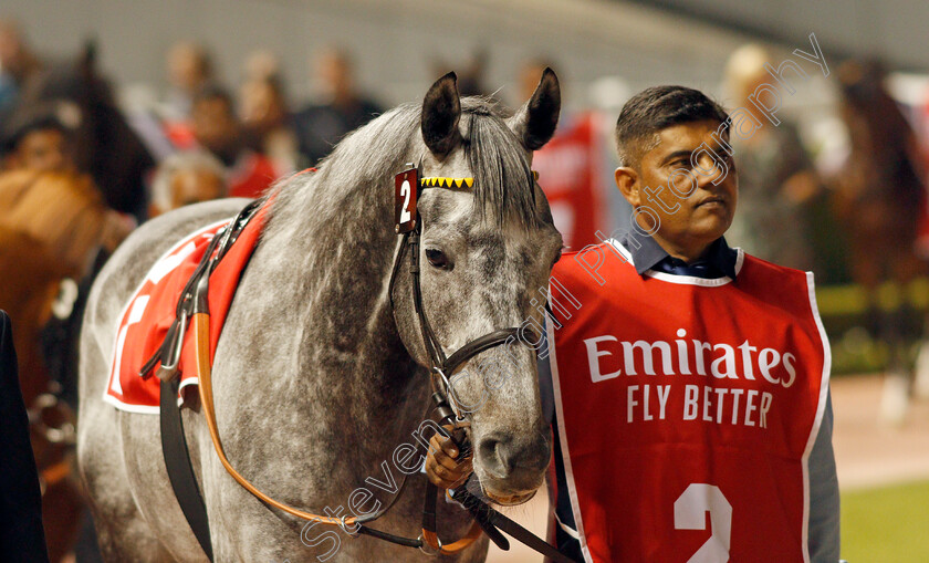 Defoe-0001 
 DEFOE 
Meydan 7 Mar 2020 - Pic Steven Cargill / Racingfotos.com