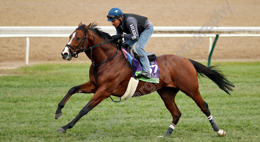 Oscar-Performance-0001 
 OSCAR PERFORMANCE exercising ahead of The Breeders' Cup Mile
Churchill Downs USA 31 Oct 2018 - Pic Steven Cargill / Racingfotos.com