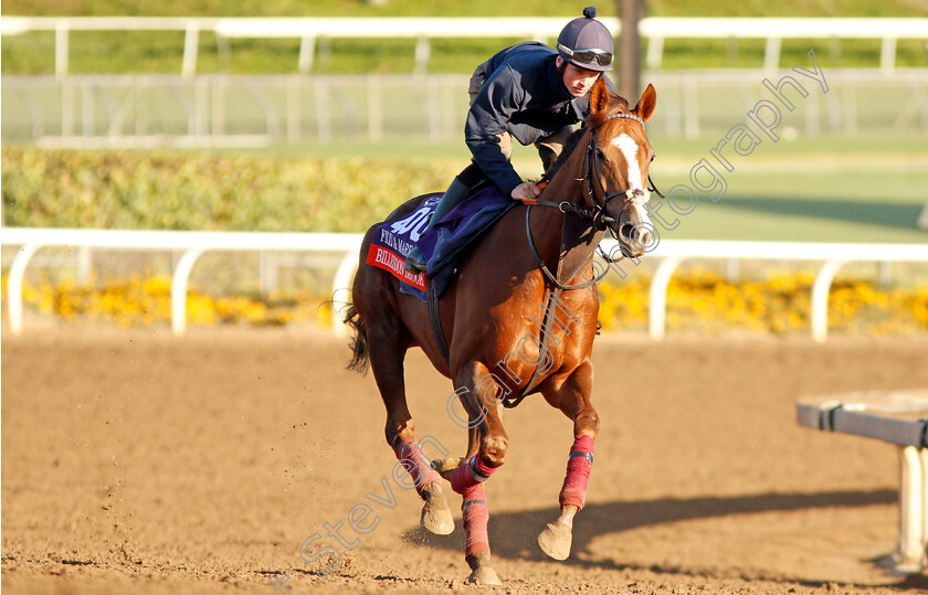 Billesdon-Brook-0001 
 BILLESDON BROOK training for the Breeders' Cup Filly & Mare Turf
Santa Anita USA 30 Oct 2019 - Pic Steven Cargill / Racingfotos.com