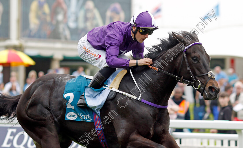 Cuban-Thunder-0001 
 CUBAN THUNDER (Kevin Stott) wins The Frank Whittle Partnership ebfstallions.com Maiden Stakes
York 18 May 2023 - Pic Steven Cargill / Racingfotos.com