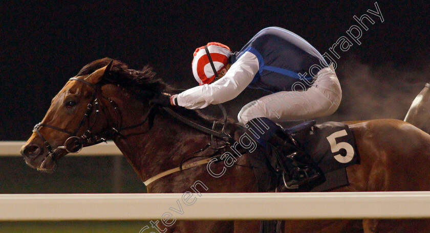 Fortune-Finder-0003 
 FORTUNE FINDER (Hector Crouch) wins The tote.co.uk Now Never Beaten By SP Handicap Div2
Chelmsford 27 Nov 2020 - Pic Steven Cargill / Racingfotos.com