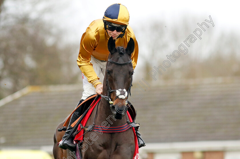 Imperial-Saint-0002 
 IMPERIAL SAINT (Micheal Nolan)
Kempton 22 Feb 2025 - Pic Steven Cargill / Racingfotos.com