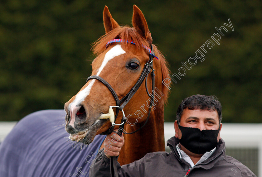 La-Lune-0005 
 LA LUNE after The British EBF Supporting Racing To School Nottinghamshire Oaks Stakes
Nottingham 27 Apr 2021 - Pic Steven Cargill / Racingfotos.com