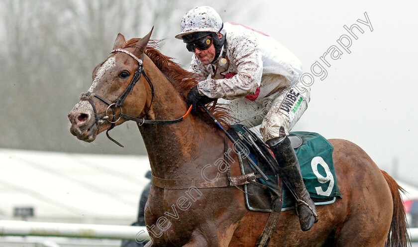 Palladium-0002 
 PALLADIUM (Nico De Boinville)
Warwick 12 Dec 2019 - Pic Steven Cargill / Racingfotos.com