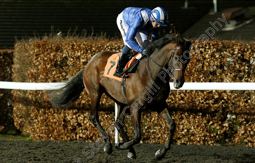 Jahbath-0003 
 JAHBATH (Jim Crowley) before The Road To The Kentucky Derby Stakes
Kempton 6 Mar 2019 - Pic Steven Cargill / Racingfotos.com