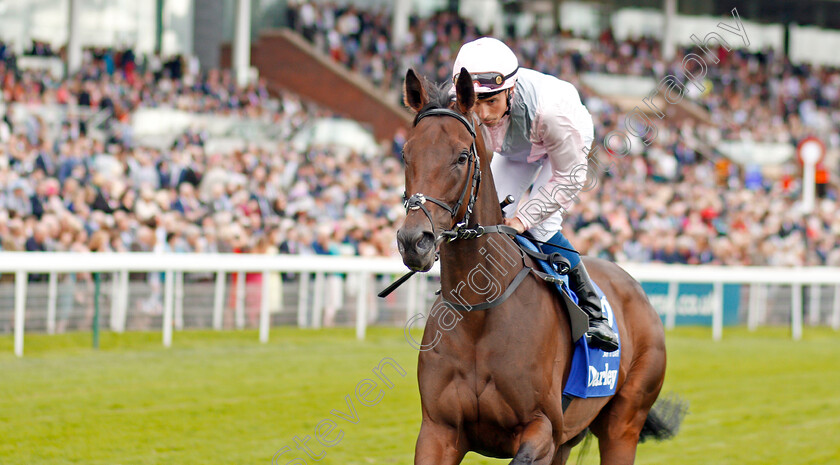 Lah-Ti-Dar-0002 
 LAH TI DAR (William Buick)
York 22 Aug 2019 - Pic Steven Cargill / Racingfotos.com