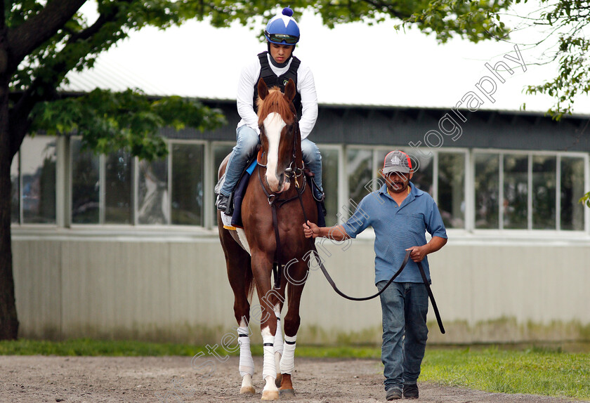 Free-Drop-Billy-0001 
 FREE DROP BILLY exercising in preparation for The Belmont Stakes
Belmont Park USA 7 Jun 2018 - Pic Steven Cargill / Racingfotos.com